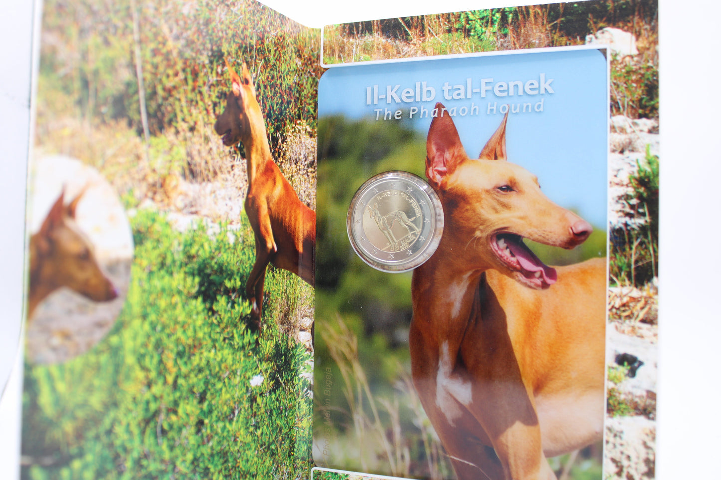 2 x 2 Euro Malta 2026 - Valletta und Pharaonenhund - COINCARD