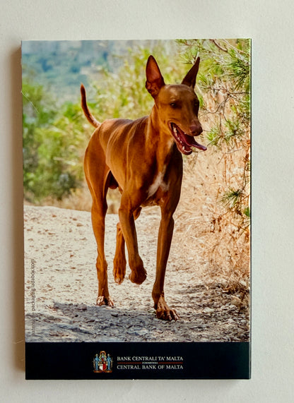 2€ Malta 2026 Pharaonenhund - Coincard