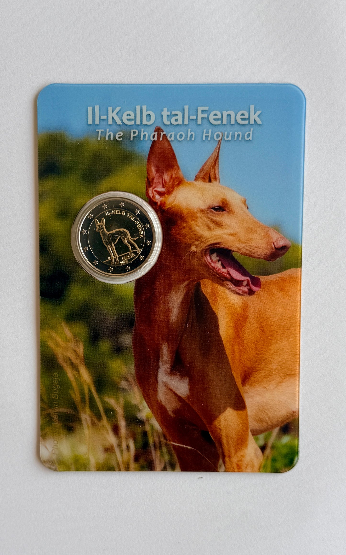 2€ Malta 2026 Pharaonenhund - Coincard