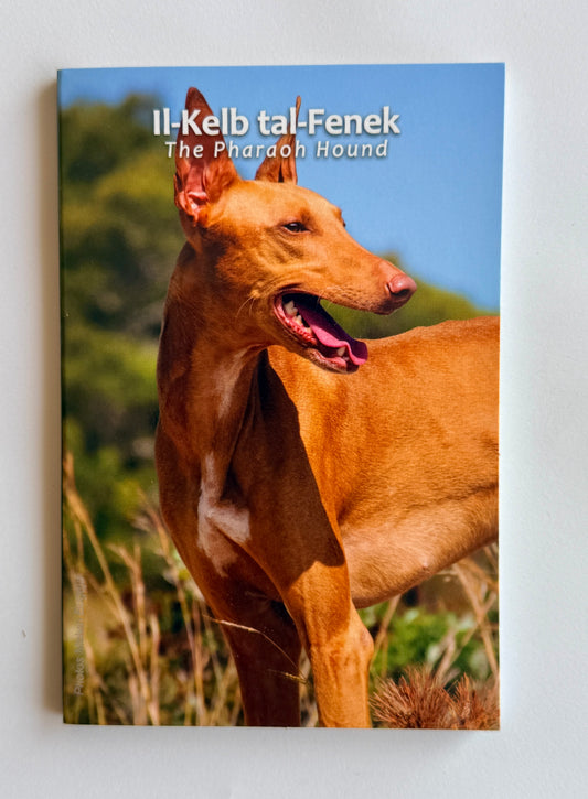 2€ Malta 2026 Pharaonenhund - Coincard